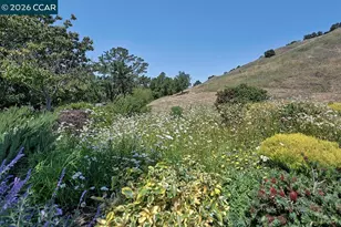 3424 Rossmoor Pkwy, Walnut Creek, CA 94595 - Photo 57