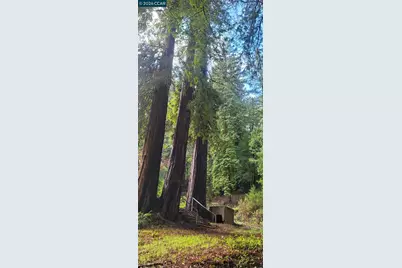 11190 McPeak Rd, Forestville, CA 95436 - Photo 7