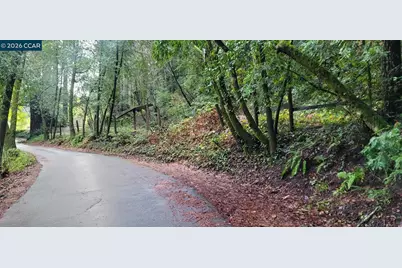 11190 McPeak Rd, Forestville, CA 95436 - Photo 5
