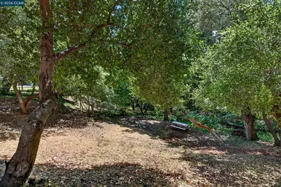 43 Monte Vista Rd, Orinda, CA 94563 - Photo 37