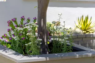 5501 Thomas Ave, Oakland, CA 94618 - Photo 53