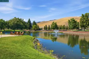 700 Blue Spruce Dr, Danville, CA 94506 - Photo 47