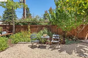 1385 Francisco St, Berkeley, CA 94702 - Photo 25
