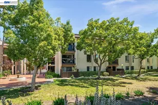39865 Cedar Blvd, Newark, CA 94560 - Photo 1
