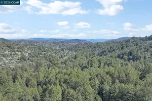 421 Rose Ave, Mill Valley, CA 94941 - Photo 61