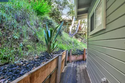 421 Rose Ave, Mill Valley, CA 94941 - Photo 49