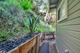 421 Rose Ave, Mill Valley, CA 94941 - Photo 49
