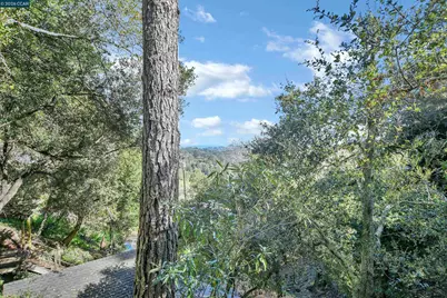 421 Rose Ave, Mill Valley, CA 94941 - Photo 67
