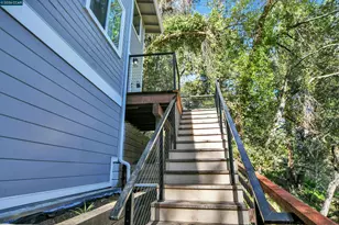 421 Rose Ave, Mill Valley, CA 94941 - Photo 57