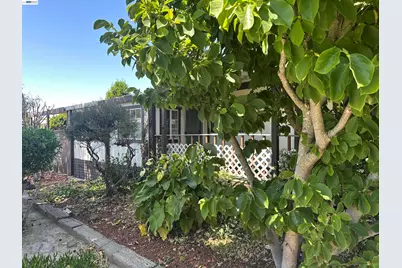 390 Tropicana Wy, Union City, CA 94587 - Photo 29