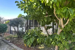 390 Tropicana Way, Union City, CA 94587 - Photo 29