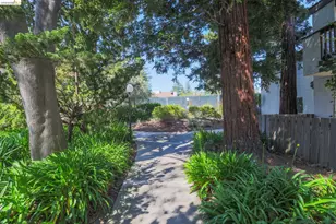21062 Gary Dr, Hayward, CA 94546 - Photo 23