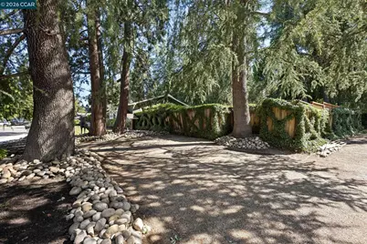 699 Terry Ln, Danville, CA 94526 - Photo 75