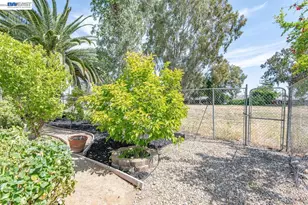 5345 Lilac Ave, Livermore, CA 94551 - Photo 39