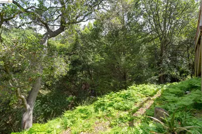 454 Vincente Ave, Berkeley, CA 94707 - Photo 51
