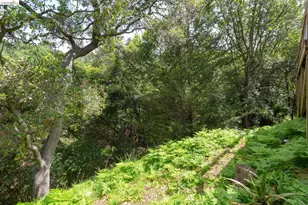 454 Vincente Ave, Berkeley, CA 94707 - Photo 51