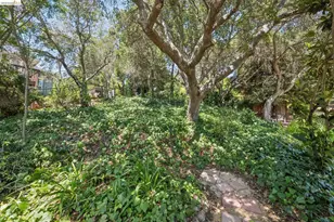 3042 Carlsen St, Oakland, CA 94602 - Photo 39