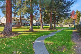 1819 Wildbrook Ct, Concord, CA 94521 - Photo 23