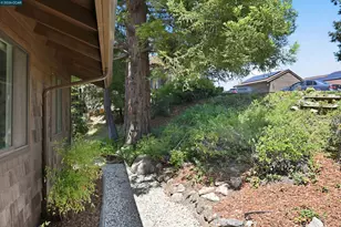 11 Swansea Ln, Pleasant Hill, CA 94523 - Photo 67