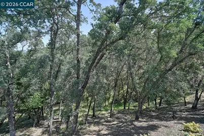 3017 Grey Eagle Dr, Walnut Creek, CA 94595 - Photo 19