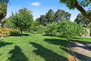 25 Amberwood Ln, Walnut Creek, CA 94598 - Photo 39