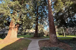 5701 Makati Cir, San Jose, CA 95123 - Photo 7