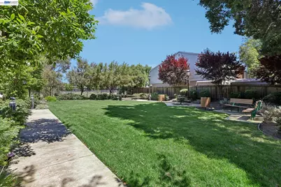 1250 Detroit Ave #1, Concord, CA 94520 - Photo 29