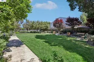 1250 Detroit Ave, Concord, CA 94520 - Photo 29