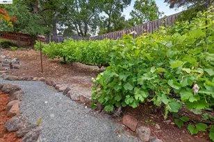 184 Lowell Dr, Danville, CA 94526 - Photo 73