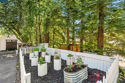177 Oak Road, Alamo, CA 94507 - Photo 67