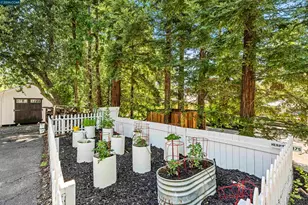 177 Oak Rd, Alamo, CA 94507 - Photo 67
