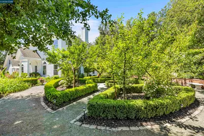 177 Oak Road, Alamo, CA 94507 - Photo 57
