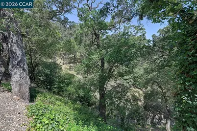 1332 Running Springs Rd #2, Walnut Creek, CA 94595 - Photo 19