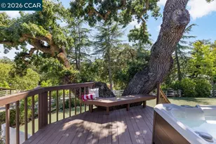 189 Oak Rd, Alamo, CA 94507 - Photo 45