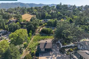 189 Oak Rd, Alamo, CA 94507 - Photo 85