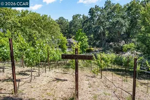 189 Oak Rd, Alamo, CA 94507 - Photo 63