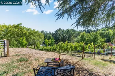 189 Oak Rd, Alamo, CA 94507 - Photo 61