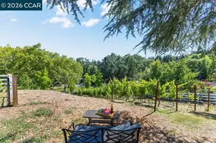 189 Oak Rd, Alamo, CA 94507 - Photo 61