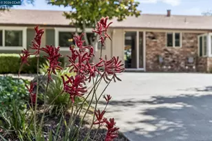 978 Kenston Dr, Clayton, CA 94517 - Photo 53