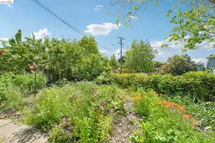 1545 Dwight Way, Berkeley, CA 94703 - Photo 65