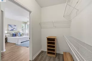 281 Black Amber Way, Brentwood, CA 94513 - Photo 23