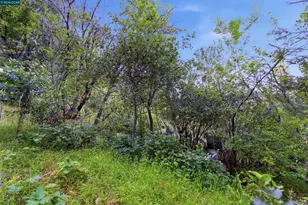 407 Country Club Ln, Napa, CA 94558 - Photo 73