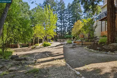 187 Stone Valley Way, Alamo, CA 94507 - Photo 85