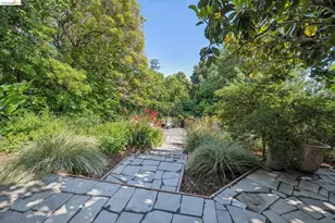 1994 Marin Ave, Berkeley, CA 94707 - Photo 77