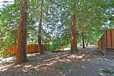 3869 Macgregor Cmn, Livermore, CA 94551 - Photo 29
