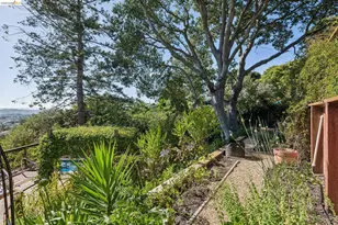 2325 Carquinez Ave, El Cerrito, CA 94530 - Photo 65