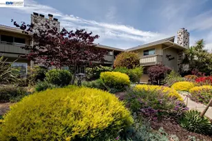 339 Broadway, Alameda, CA 94501 - Photo 23