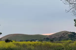 33513 Bardolph Cir, Fremont, CA 94555 - Photo 51