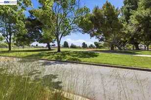 33513 Bardolph Cir, Fremont, CA 94555 - Photo 41