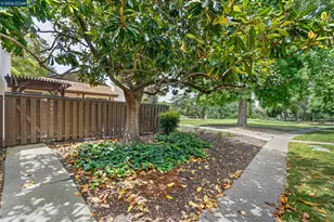 1941 Countrywood Ct, Walnut Creek, CA 94598 - Photo 51